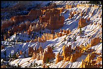 Hoodoos and snow in Bryce Amphitheater, early morning. Bryce Canyon National Park, Utah, USA.