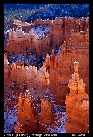 [open edition] Thor's Hammer, mid-morning. Bryce Canyon National Park (color)