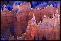 Backlit Hoodoos, mid-morning. Bryce Canyon National Park, Utah, USA. (color)