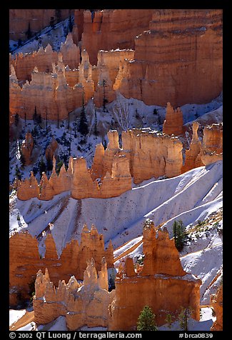 Snowy ridges and hoodoos, Bryce Amphitheater, early morning. Bryce Canyon National Park, Utah, USA.