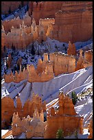 Snowy ridges and hoodoos, Bryce Amphitheater, early morning. Bryce Canyon National Park, Utah, USA. (color)