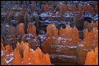 Glowing Hoodoos from Sunset Point, afternoon. Bryce Canyon National Park, Utah, USA.