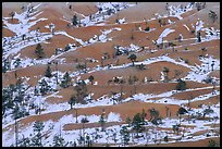 Ridges, snow, and trees. Bryce Canyon National Park ( color)