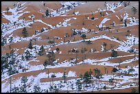 Ridges, snow, and trees. Bryce Canyon National Park, Utah, USA. (color)