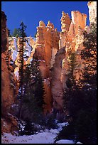 Hoodoos seen from  Queen's garden Trail. Bryce Canyon National Park, Utah, USA.