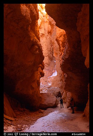 Hikers in Wall Street Gorge. Bryce Canyon National Park (color)