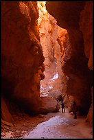 Hikers in Wall Street Gorge. Bryce Canyon National Park, Utah, USA. (color)