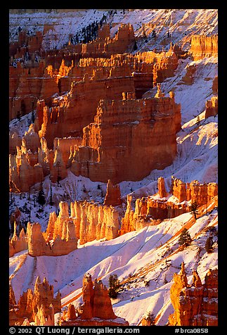 Bryce Amphitheater from Sunrise Point, winter sunrise. Bryce Canyon National Park, Utah, USA.