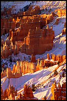 Bryce Amphitheater from Sunrise Point, winter sunrise. Bryce Canyon National Park, Utah, USA.