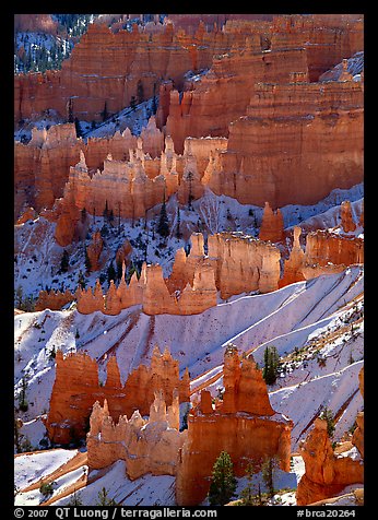 Sandstone rock pillars seen from Sunrise Point in winter, mid-morning. Bryce Canyon National Park (color)
