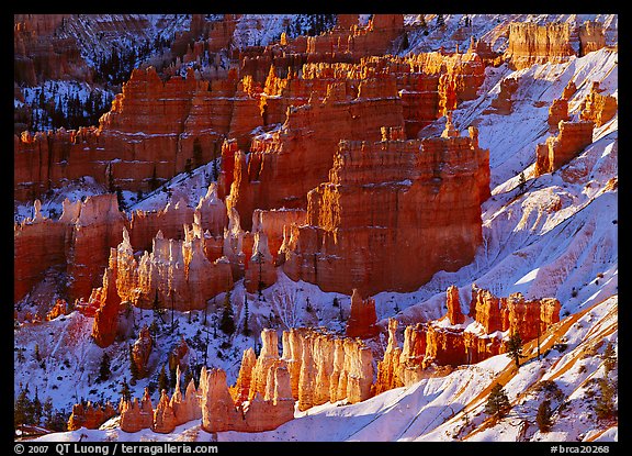 Rock spires and snow seen from Sunrise Point in winter, early morning. Bryce Canyon National Park, Utah, USA.