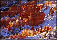 Rock spires and snow  seen from Sunrise Point in winter, early morning. Bryce Canyon National Park ( color)