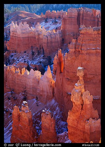 Thor Hammer and hoodoos, mid-morning. Bryce Canyon National Park (color)