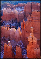 Thor's Hammer, mid-morning. Bryce Canyon National Park, Utah, USA.