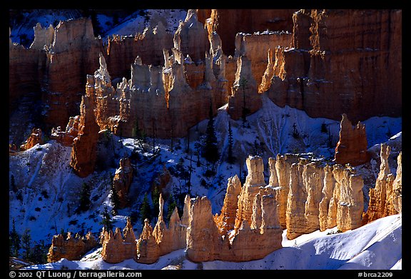 Hoodoos and shadows from Sunrise Point, early winter morning. Bryce Canyon National Park, Utah, USA.