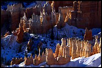 Hoodoos and shadows from Sunrise Point, early winter morning. Bryce Canyon National Park, Utah, USA.