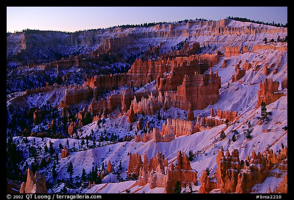 Bryce amphitheater from Sunrise Point, dawn. Bryce Canyon National Park, Utah, USA.