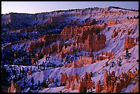 Bryce amphitheater from Sunrise Point, dawn. Bryce Canyon National Park, Utah, USA.