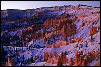 Bryce amphitheater from Sunrise Point, dawn. Bryce Canyon National Park, Utah, USA. (color)