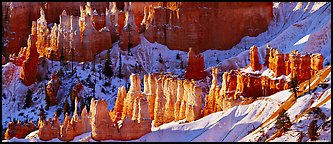 Hoodoos and snowy slopes, early morning. Bryce Canyon National Park (Panoramic color)