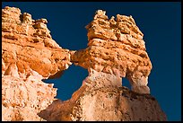 Hoodoos and windows. Bryce Canyon National Park, Utah, USA. (color)