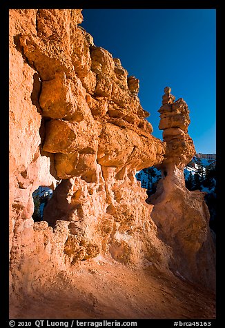 Pink limestone hoodoos, Water Canyon. Bryce Canyon National Park, Utah, USA.