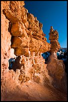 Pink limestone hoodoos, Water Canyon. Bryce Canyon National Park, Utah, USA. (color)