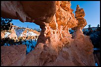 Water Canyon from hoodoo window. Bryce Canyon National Park, Utah, USA.