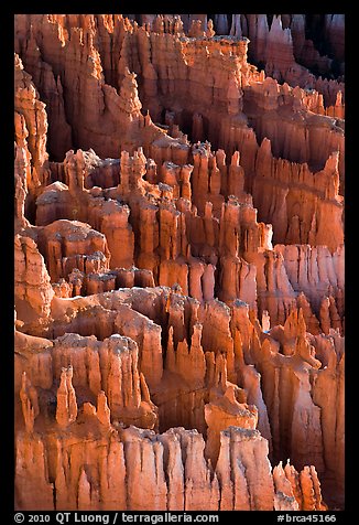 Easily eroded and soft limestone hoodoos. Bryce Canyon National Park, Utah, USA.