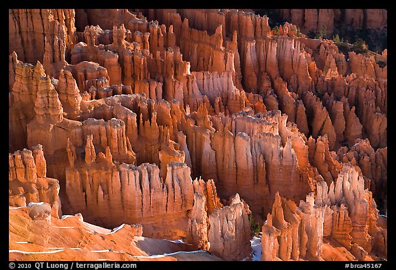 Pinnacles, hoodoos, and fluted walls. Bryce Canyon National Park, Utah, USA.