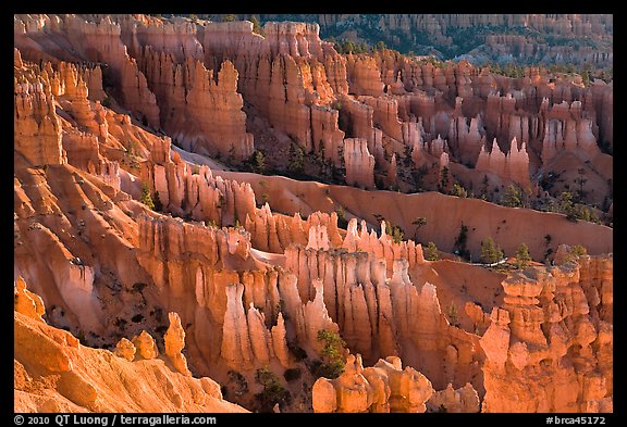 Bryce amphitheater at sunrise. Bryce Canyon National Park (color)
