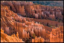 Bryce amphitheater at sunrise. Bryce Canyon National Park, Utah, USA. (color)