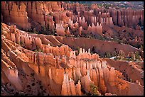 Glowing hoodoos in Queen's garden. Bryce Canyon National Park ( color)