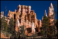 Hoodoos capped with magnesium-rich limestone. Bryce Canyon National Park, Utah, USA. (color)