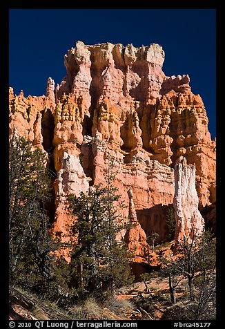 Hoodoos capped with dolomite. Bryce Canyon National Park (color)