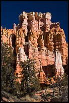 Hoodoos capped with dolomite. Bryce Canyon National Park, Utah, USA.