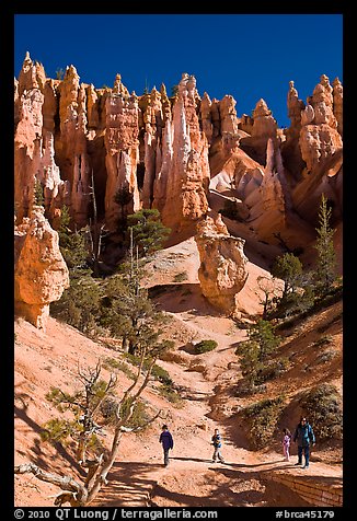 Hiker at the base of hoodoos. Bryce Canyon National Park, Utah, USA.