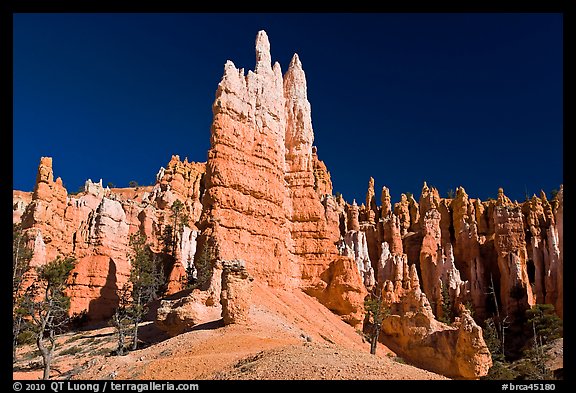 Hoodoos seen from the base. Bryce Canyon National Park, Utah, USA.