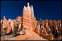 Hoodoos seen from the base. Bryce Canyon National Park, Utah, USA.