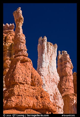Hoodoos subject to chemical weathering by carbonic acid. Bryce Canyon National Park, Utah, USA.