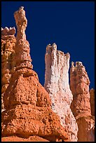 Hoodoos subject to chemical weathering by carbonic acid. Bryce Canyon National Park, Utah, USA.