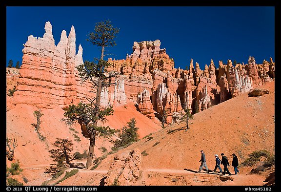 Hiking trail below hoodoos. Bryce Canyon National Park (color)