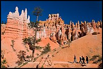 Hiking trail below hoodoos. Bryce Canyon National Park, Utah, USA.