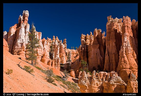 Hoodoos seen from below. Bryce Canyon National Park, Utah, USA.