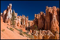 Hoodoos seen from below. Bryce Canyon National Park ( color)
