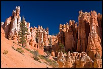 Hoodoos seen from below. Bryce Canyon National Park, Utah, USA. (color)