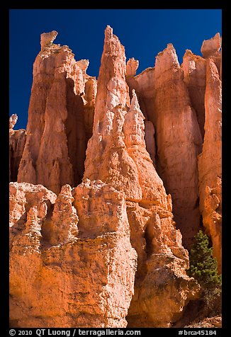 Weathered Claron formation limestone. Bryce Canyon National Park, Utah, USA.