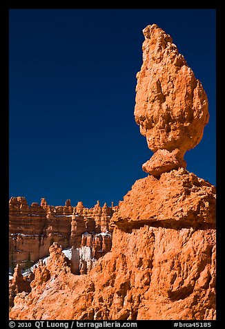 Balanced rock in pink limestone. Bryce Canyon National Park, Utah, USA.