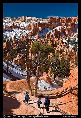 Hiking into amphitheater. Bryce Canyon National Park, Utah, USA.