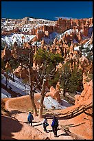 Hiking into amphitheater. Bryce Canyon National Park, Utah, USA.